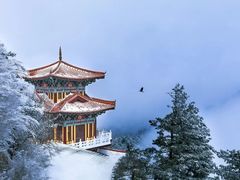 -洛阳白云山景区