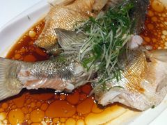 -至潮餐厅精致粤菜·活鲈鱼·走地鸡(珠江新城店)