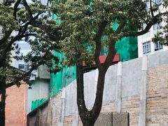 -大馆(前中区警署建築群)