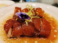 -南海渔村(珠江新城店)