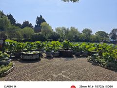 -无锡蠡湖国家湿地公园-蠡园