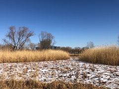 -大兴滨河森林公园