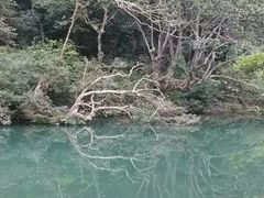 -广西龙虎山风景区