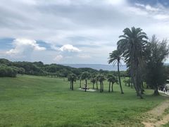 -鹅銮鼻公园