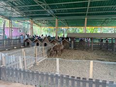 -秦皇岛野生动物园