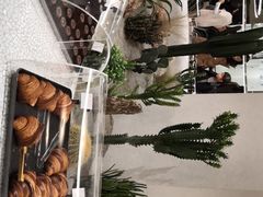 -OUR Bakery(SKP-S店)