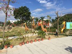 -泉州海丝野生动物世界