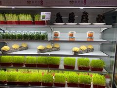 -番食园鲜食火锅(高新店)