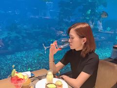 -海棠湾洲际-涛·海底餐厅·美人鱼·自助餐·海底隧道