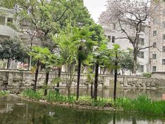 -湖北美术学院(昙华林校区)