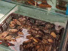 -九月海·海鲜自助(世纪东方店)