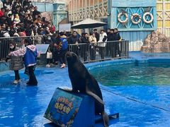 -华夏文旅海洋公园