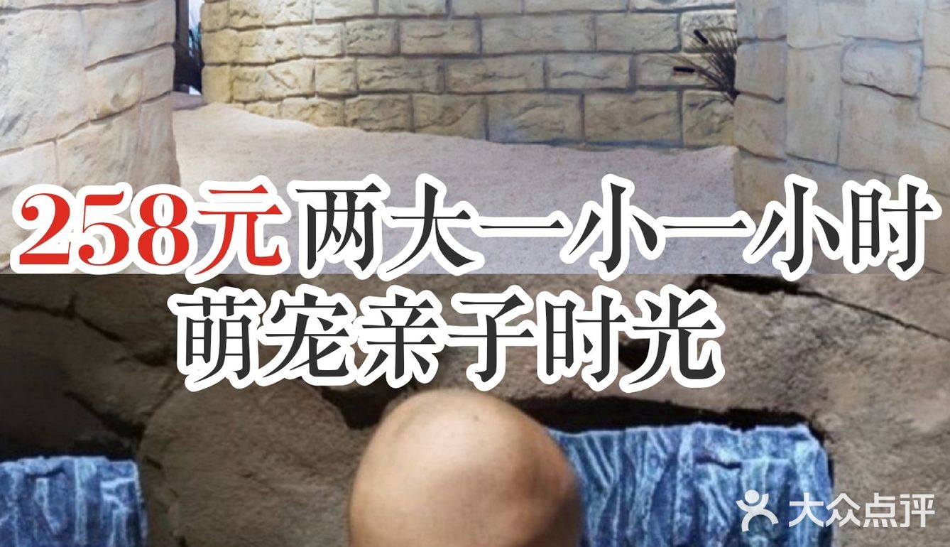 258元两大一小一小时萌宠亲子时光