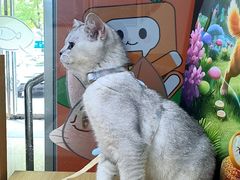 -美联众合动物医院·24h转诊中心