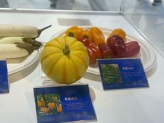 -东浩兰生上海世博展览馆
