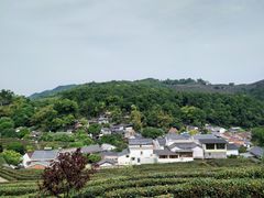 -西湖风景区十里琅珰-五云山