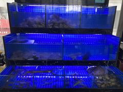 水产区-阿尔法海鲜排档(爱琴海店)