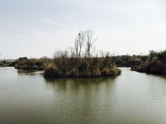 -白鹭湾湿地公园