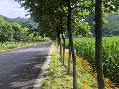 -丹东天桥沟景区