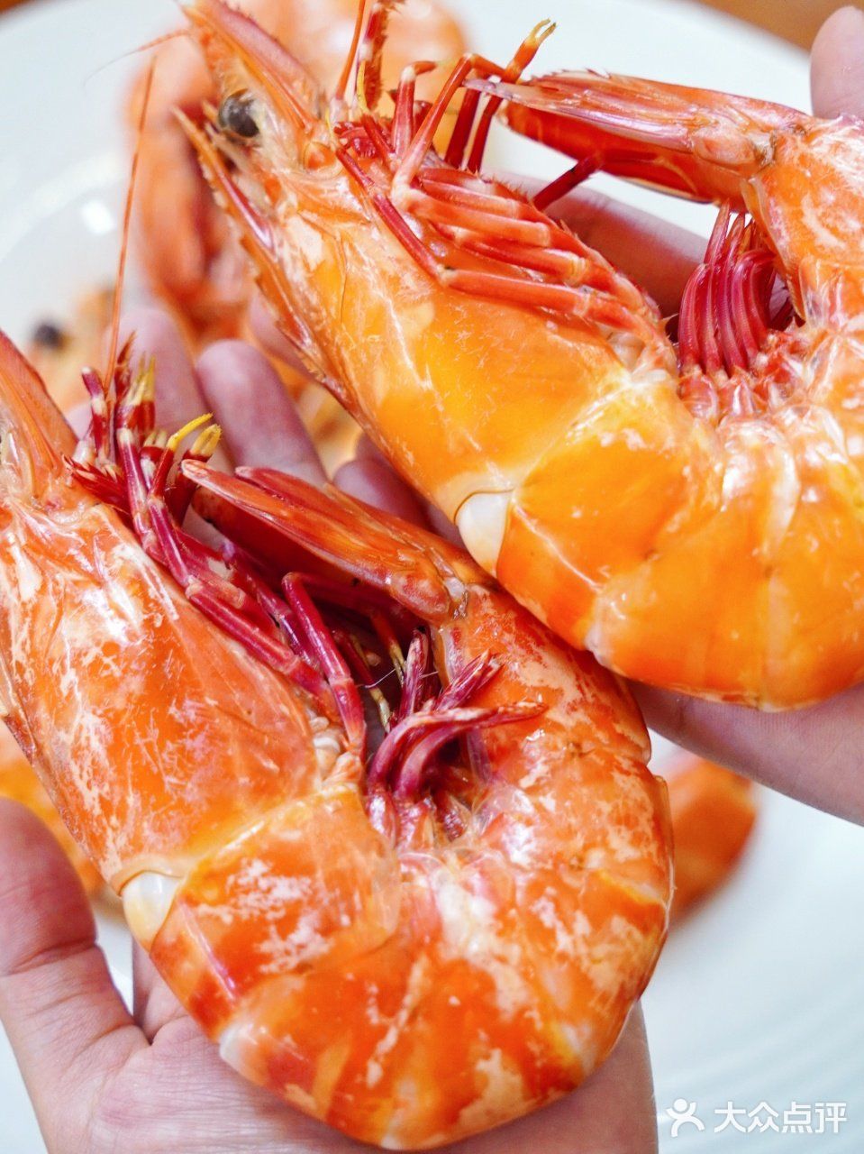 陵水天下客海鲜💯💯超靠谱  