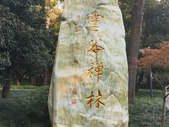 -灵谷景区