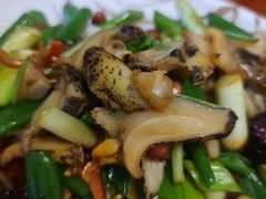 -鸿运美食府