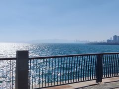 -星光岛
