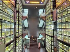-广东中医药博物馆