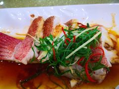 清蒸东升斑-捌香食店(丽水店)