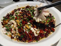 -三猫黑鱼花(南大店)