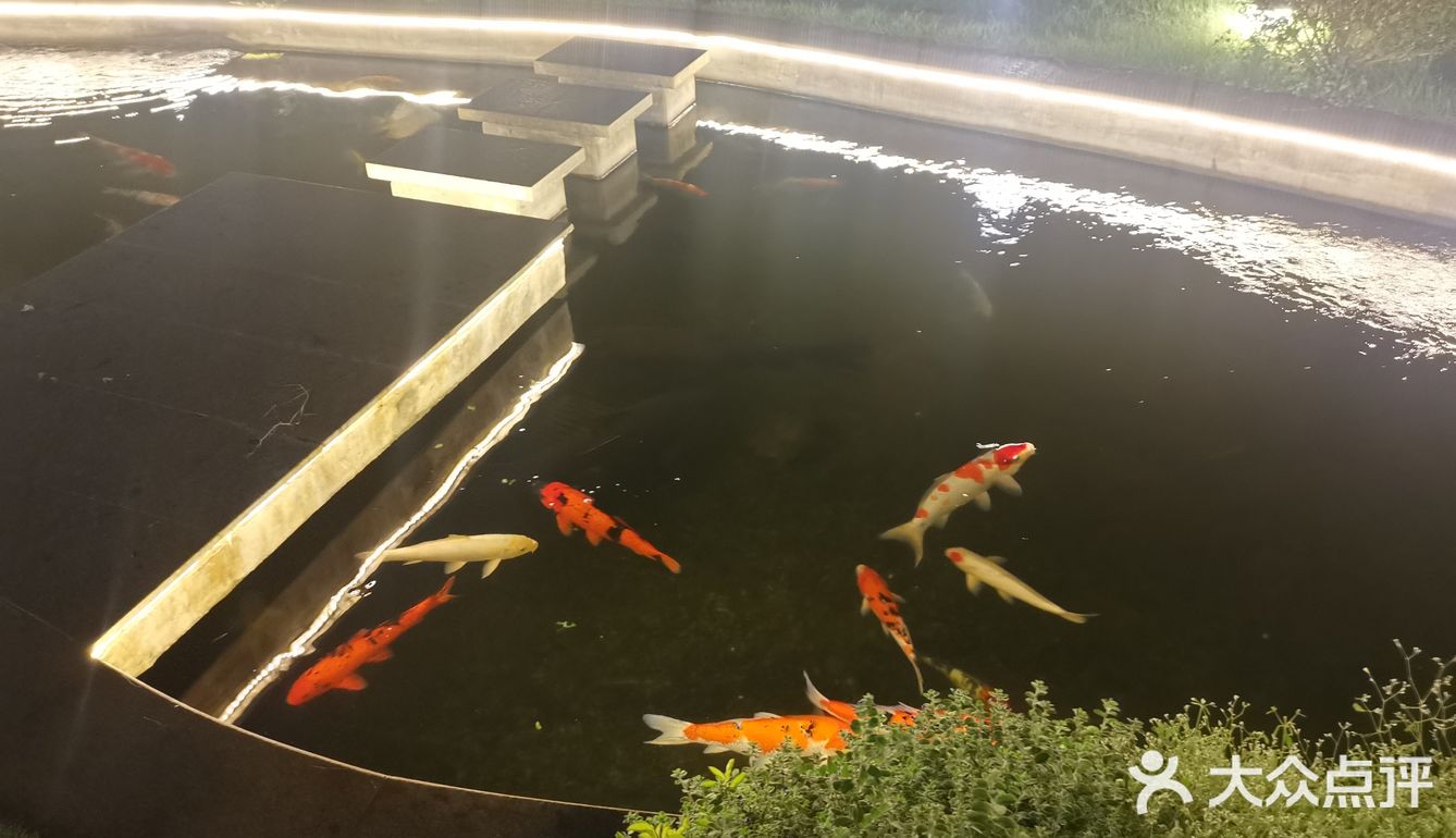 聚餐吃啥好