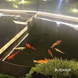 聚餐吃啥好
