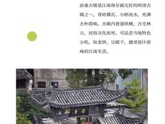 -桑洲油菜花景区