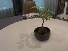 -新廊桥(原科华廊桥店)