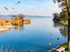 -麓舍全景太湖温泉别墅团建拓展会议亲子