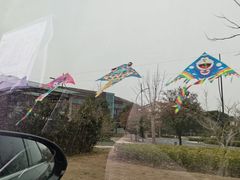 -苏州湾·王焰温泉