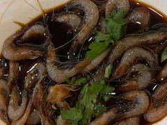 -苏启渔港(云南北路店)