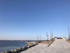 -南汇嘴观海公园