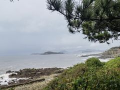 -船歌·鱼水饺青岛菜(合肥路永旺店)