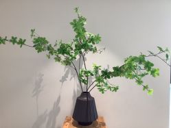 -清疣美疣·痣·斑净肤中心
