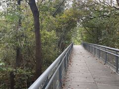 -佛山华盖山公园