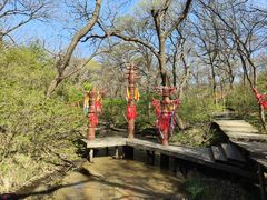 -大青沟风景区