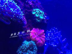 -成都浩海立方海洋公园