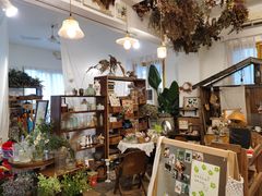 -知物癖(牛王庙店)