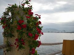 -越海渔村