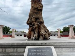 -许慎文化园