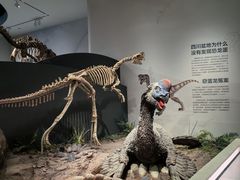 -自贡恐龙博物馆