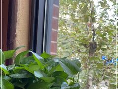 -泥糊破店小酒馆·团建聚餐(南京西路店)