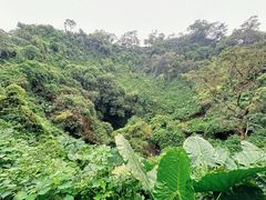 -海口火山口国家地质公园