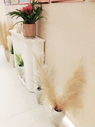 -Dr.林醫生产后修复·超级店(南京江宁同曦店)